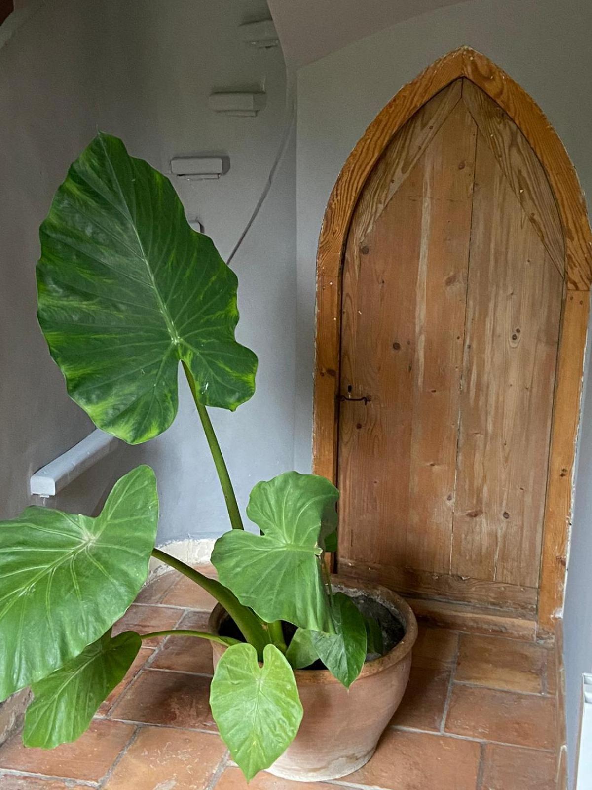 Bed and Breakfast Mas Carita Cabannes Esterno foto